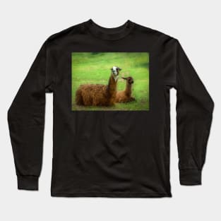 Llamas Long Sleeve T-Shirt